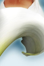 la nouvelle vaginal rejuvenation