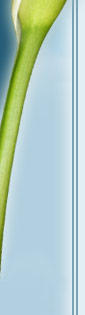 la nouvelle vaginal rejuvenation